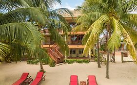 Buttonwood Belize