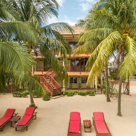 Hotel Buttonwood Belize à Hopkins Extérieur photo