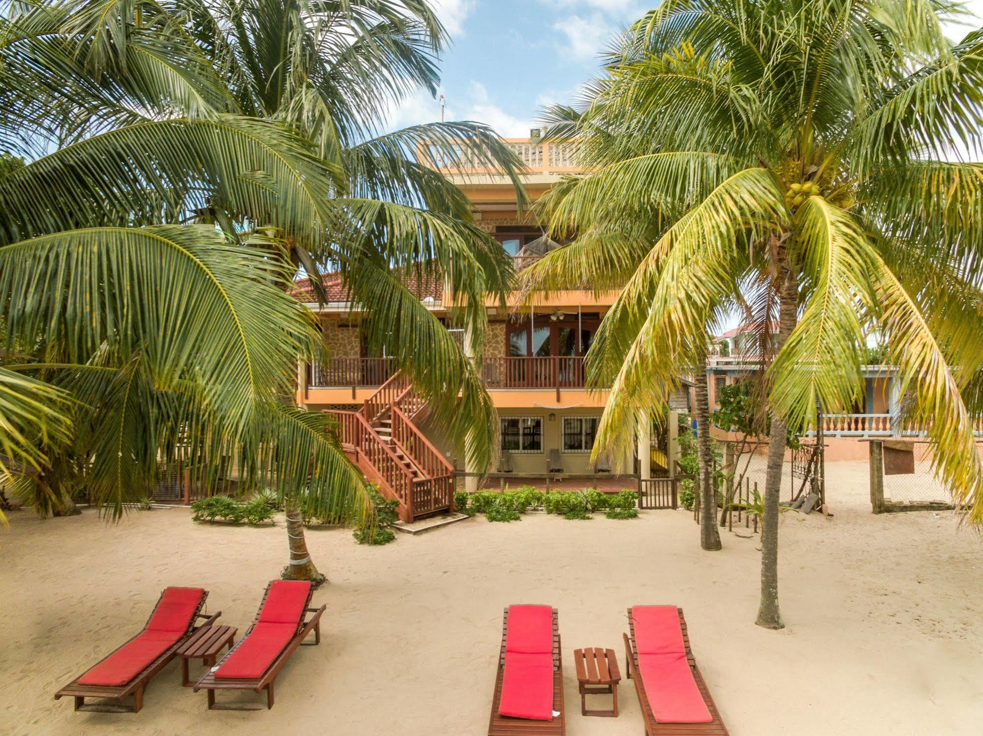 Hotel Buttonwood Belize à Hopkins Extérieur photo